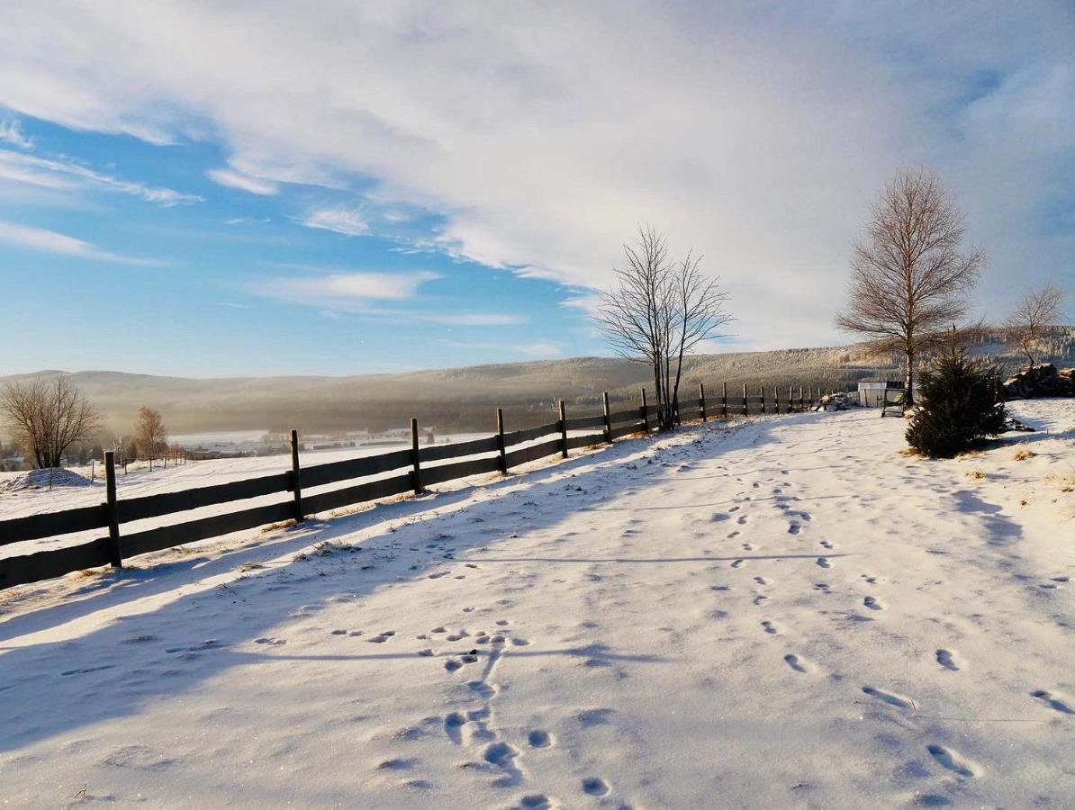 Wzgorze Owiec Sheep Hill Mostowice Esterno foto